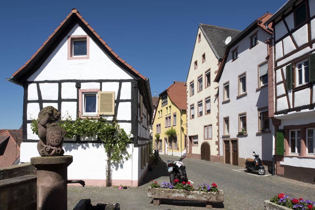 Burggarten Appartements Neuleiningen מראה חיצוני תמונה