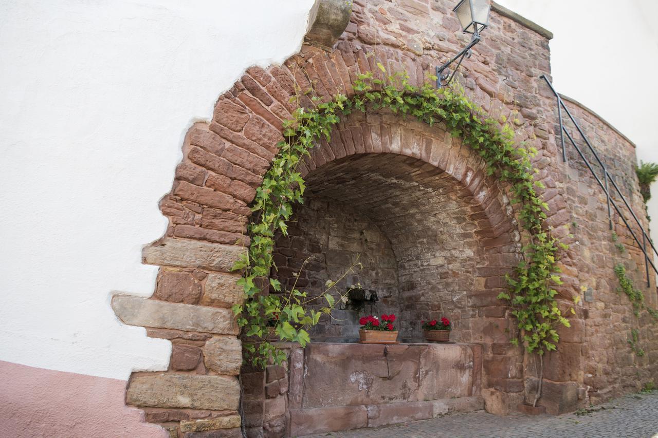 Burggarten Appartements Neuleiningen מראה חיצוני תמונה