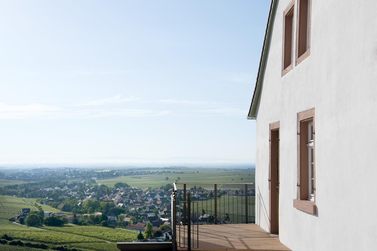 Burggarten Appartements Neuleiningen מראה חיצוני תמונה