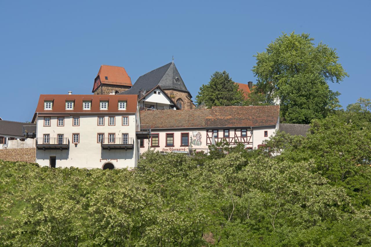 Burggarten Appartements Neuleiningen מראה חיצוני תמונה