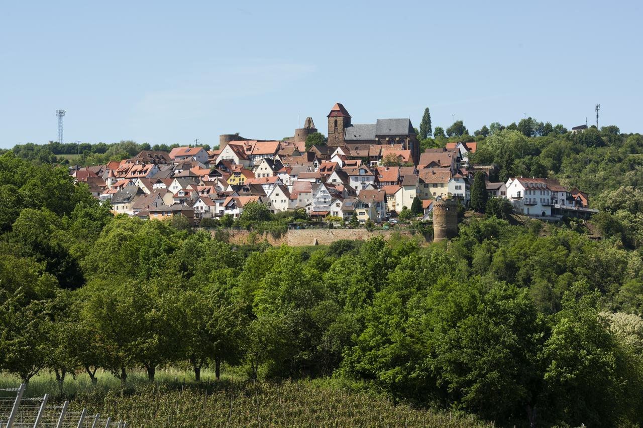 Burggarten Appartements Neuleiningen מראה חיצוני תמונה