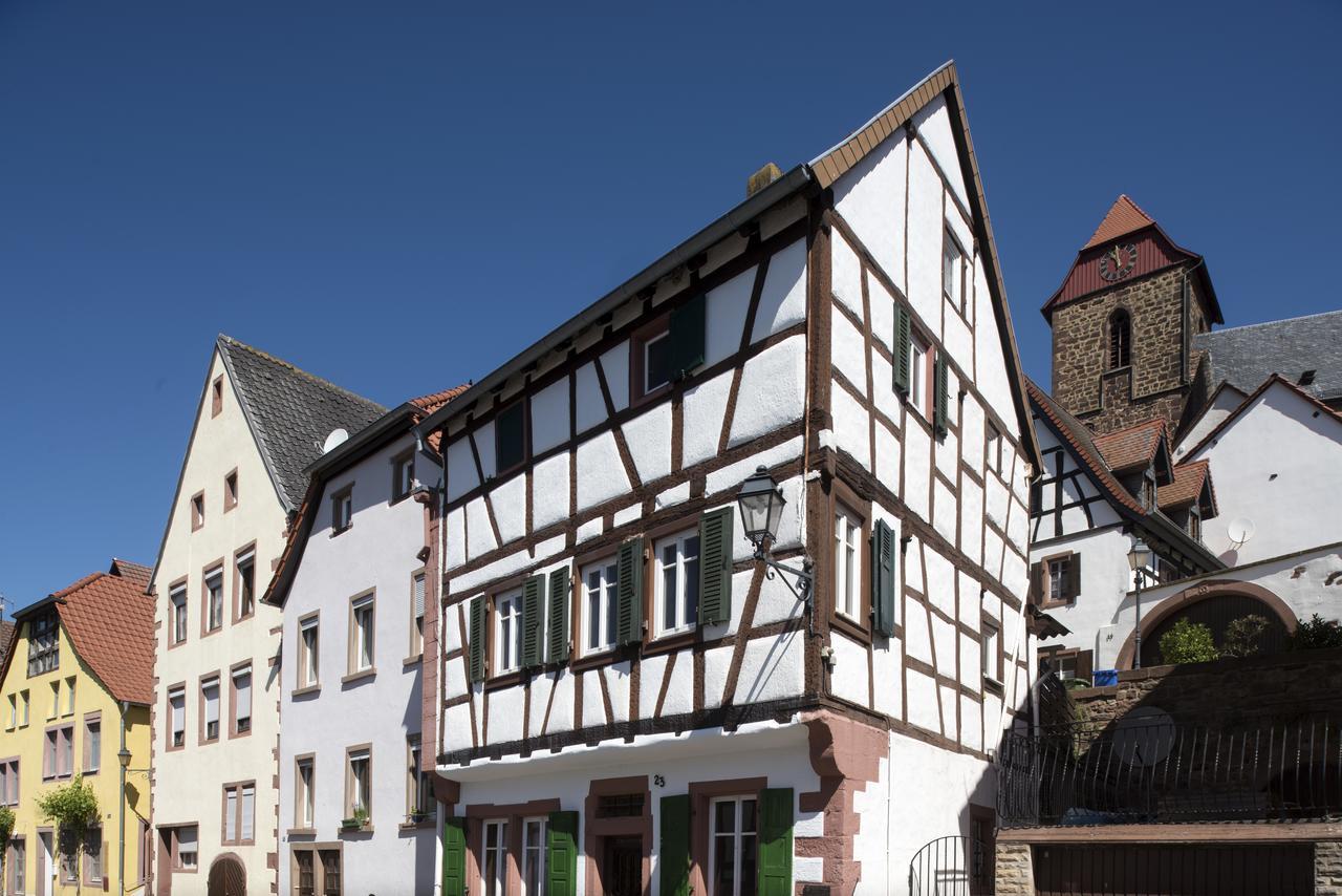 Burggarten Appartements Neuleiningen מראה חיצוני תמונה