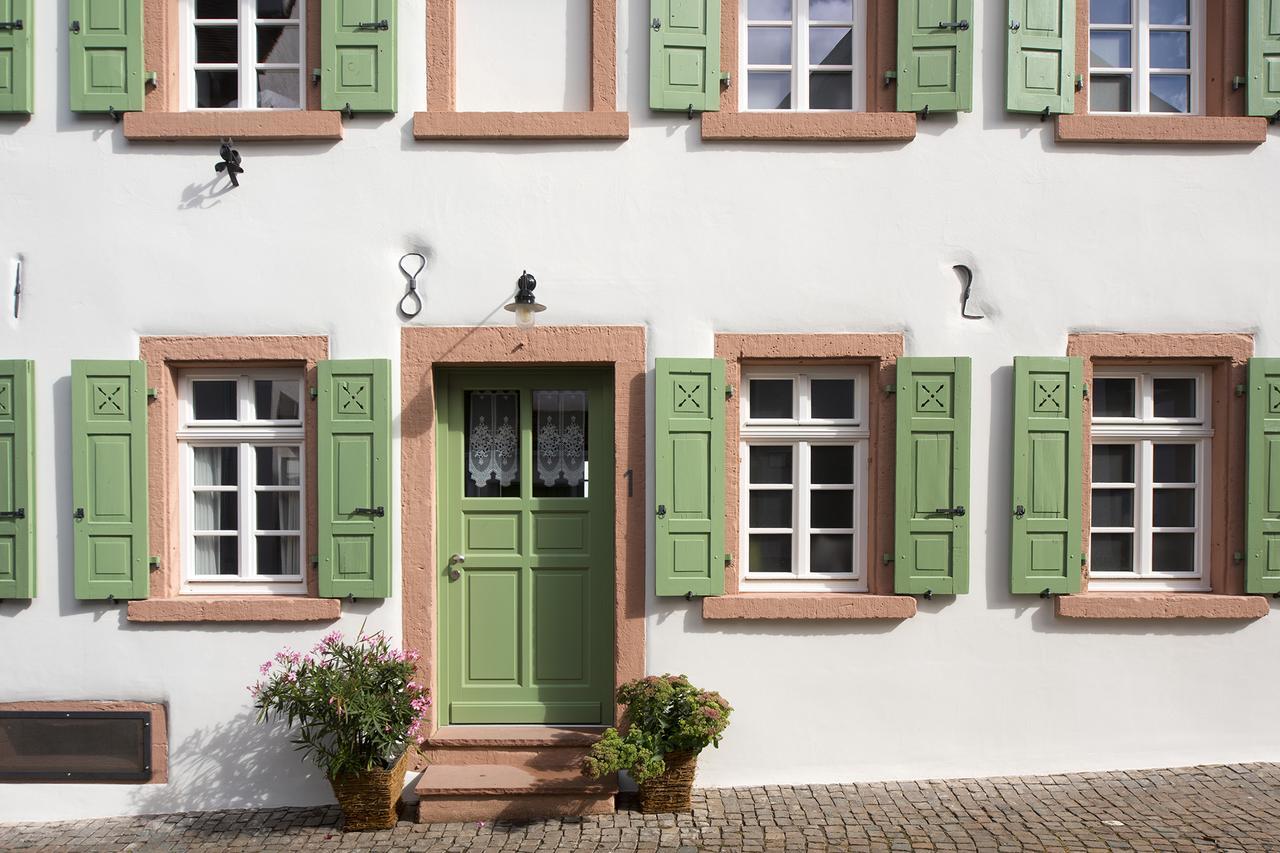 Burggarten Appartements Neuleiningen מראה חיצוני תמונה