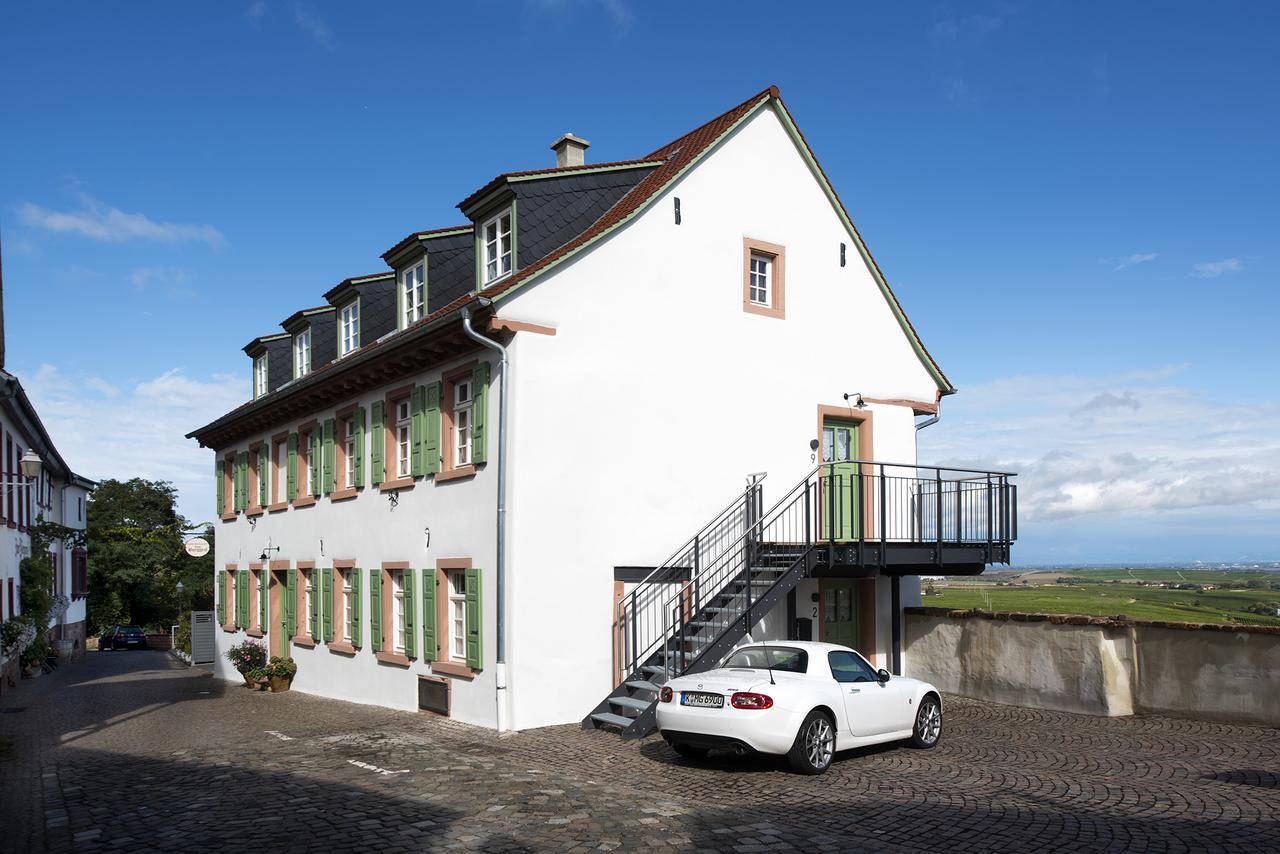 Burggarten Appartements Neuleiningen מראה חיצוני תמונה